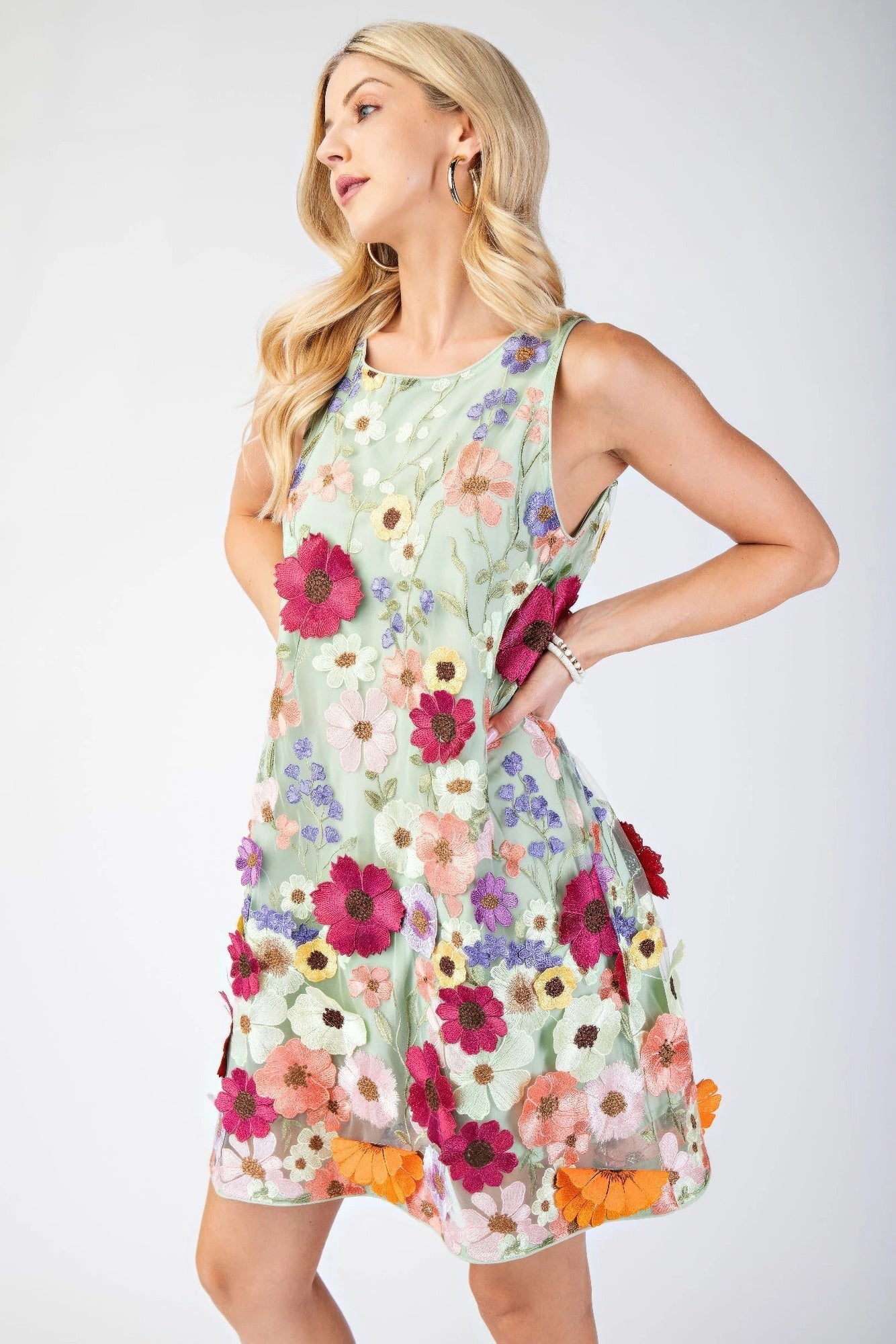 Floral Embroidered Sleeveless Mini Dress